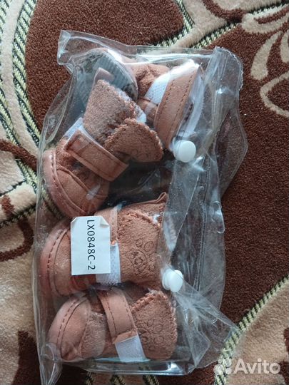 Собачьи ботинки