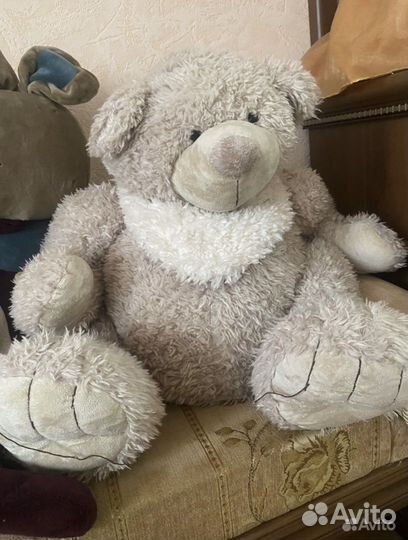 Большие медведи