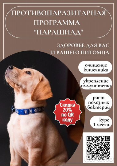 Изготовление листовок и флаеров