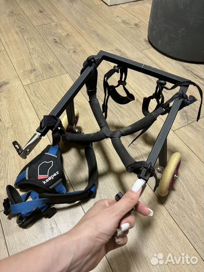 Инвалидная коляска для собак