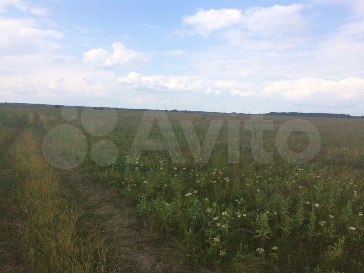 Участок 15 сот. (ИЖС)