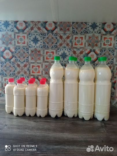 Молоко, Сыр, кефир,сыворотка, сузьма