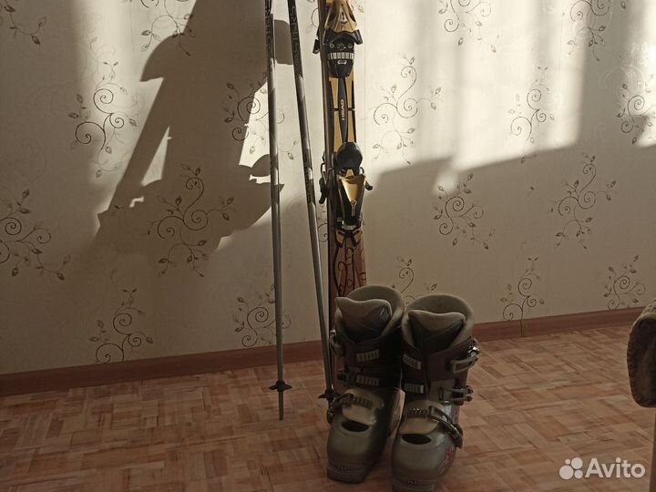 Горные лыжи