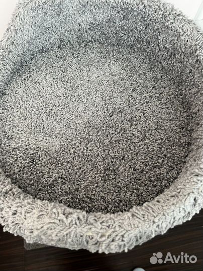 Лазелка для кошек