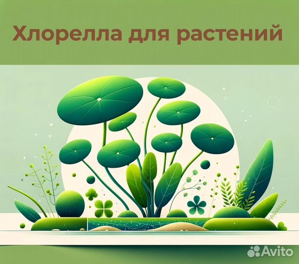 Хлорелла для растений, 5 литров