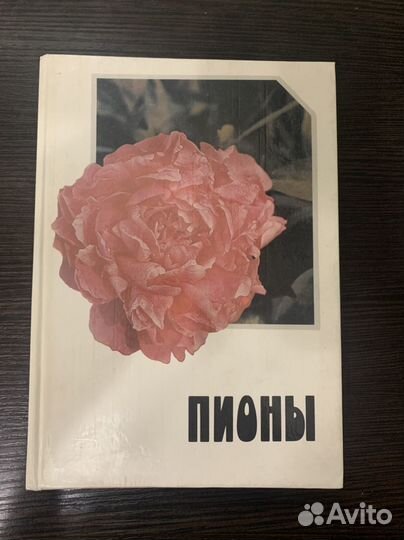 Книга пионы 1985