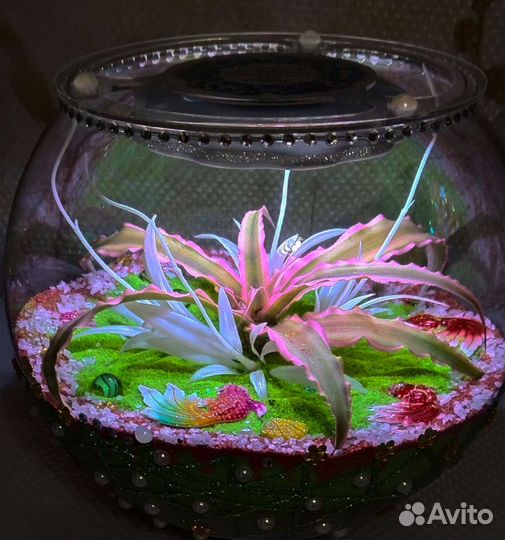 Флорариум со светом