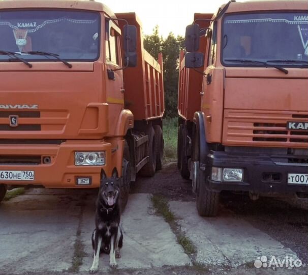 Песок сеянный с доставкой