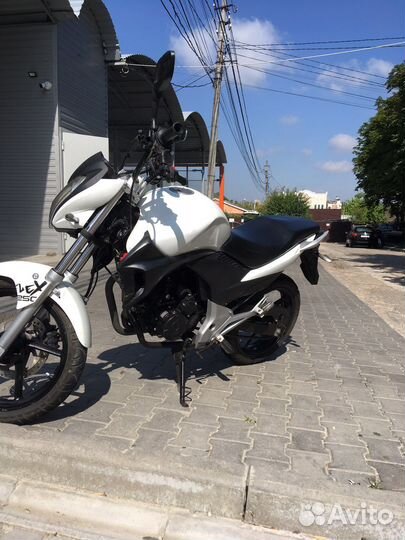 Stels Flex 250
