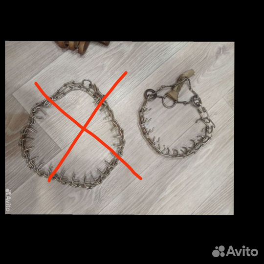 Амуниция для собак