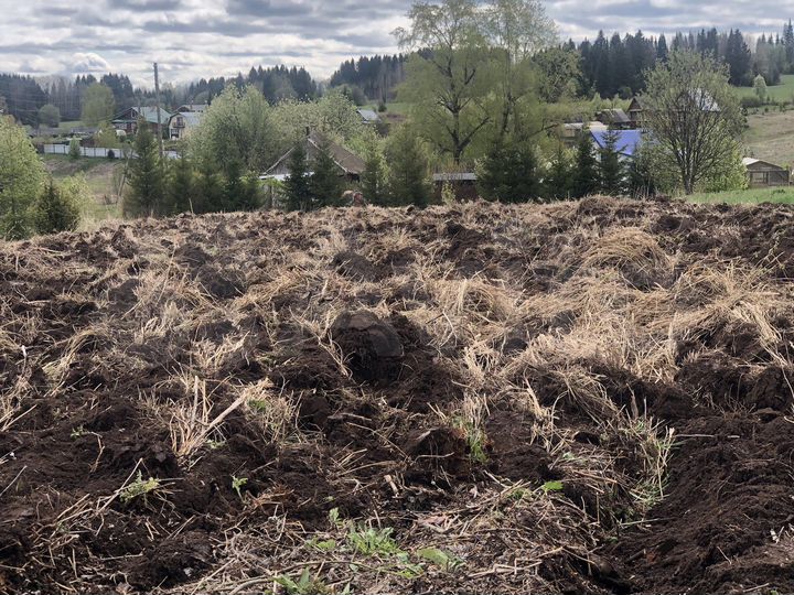 Участок 11 сот. (ИЖС)