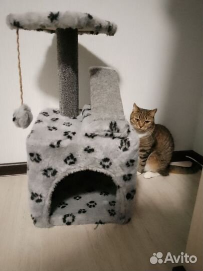 Домик для кошки с когтеточкой