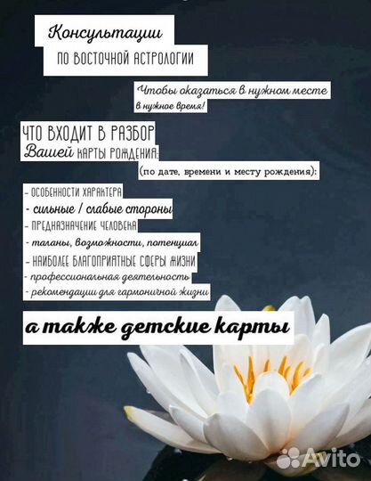 Услуги китайской астрологии Бацзы