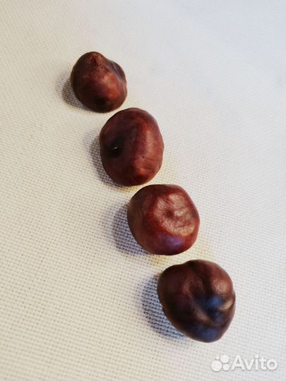 Набор природных материалов для поделок, творчества