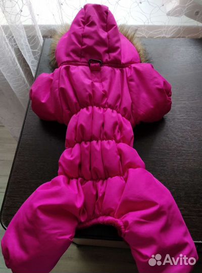 Зимний комбинезон на маленькую собачку