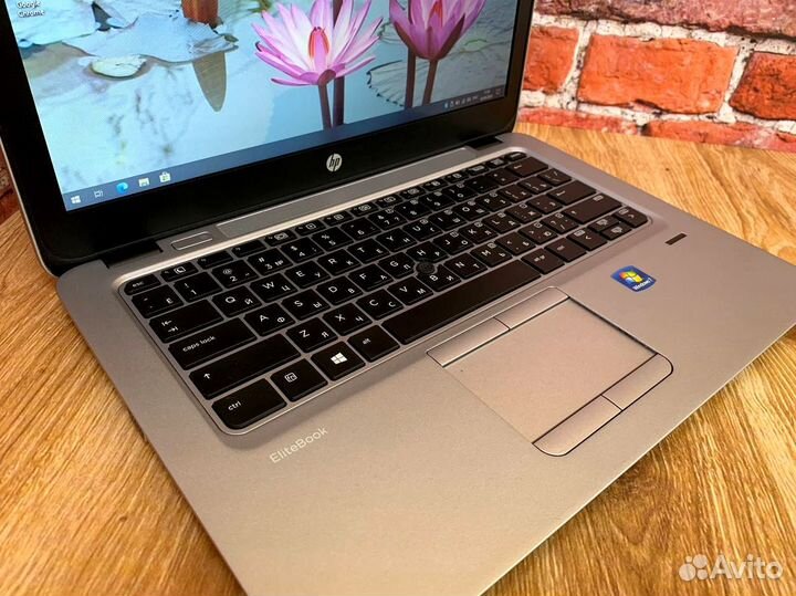 12 дюймов AMD A8 Ноутбук HP EliteBook 725 Обмен