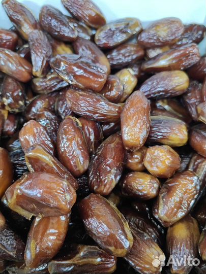 Финики Тунис