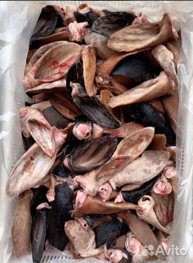 Бараньи субпродукты для корма собакам оптом