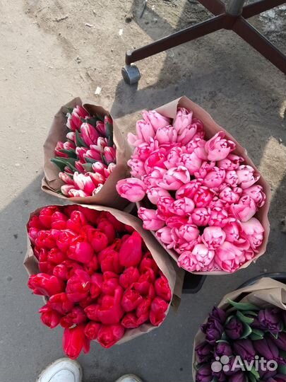 Тюльпаны к 8 марта