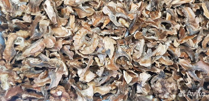 Перегородки грецкого ореха