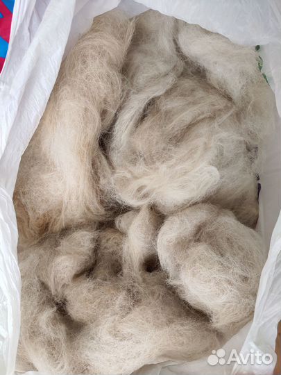 Собачья шерсть продам