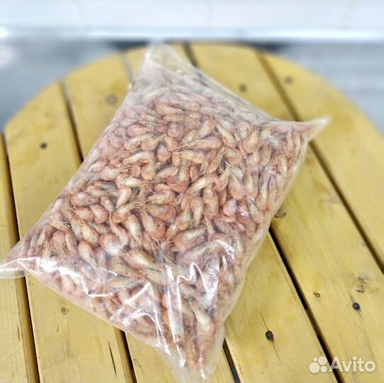 Креветка Азовская для рыбалки