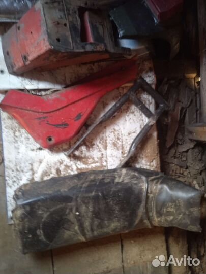 Сова восход