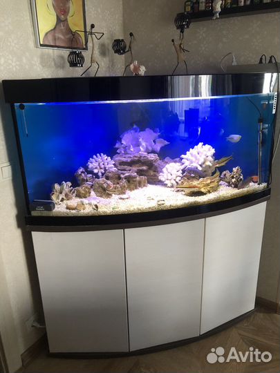Аквариум угловой с тумбой 350 литров