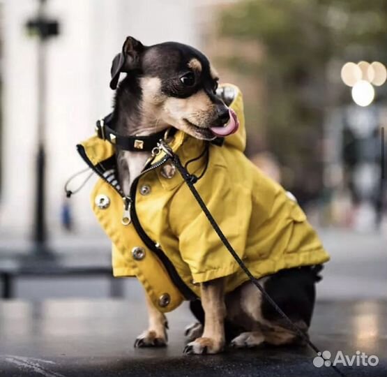 Куртка для собаки