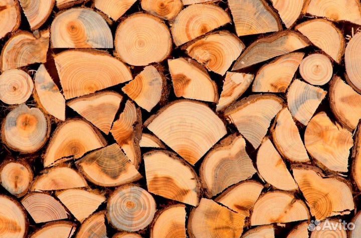 Дрова какие хотите