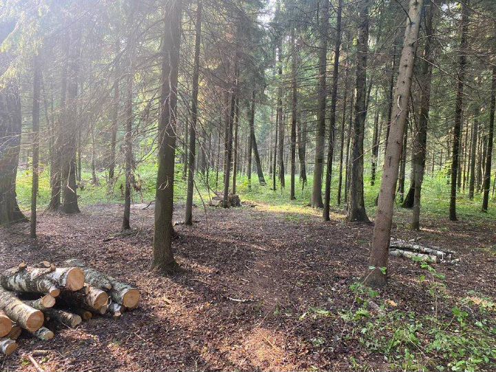 Дом 61 м² на участке 8 сот.