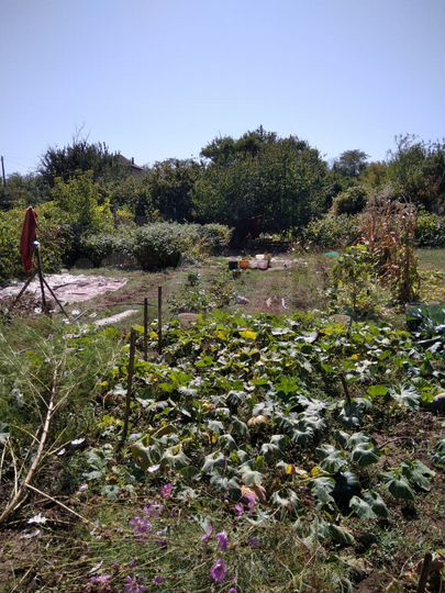 Участок 5 сот. (ИЖС)