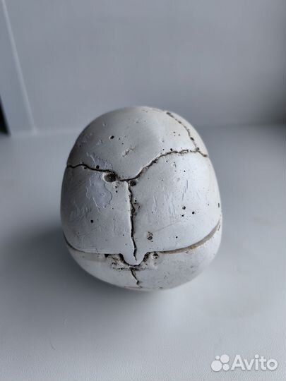 Череп пепельница шкатулка