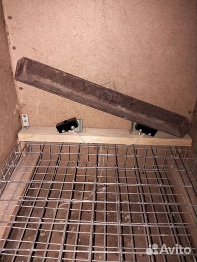 Инкубатор для яиц автоматический