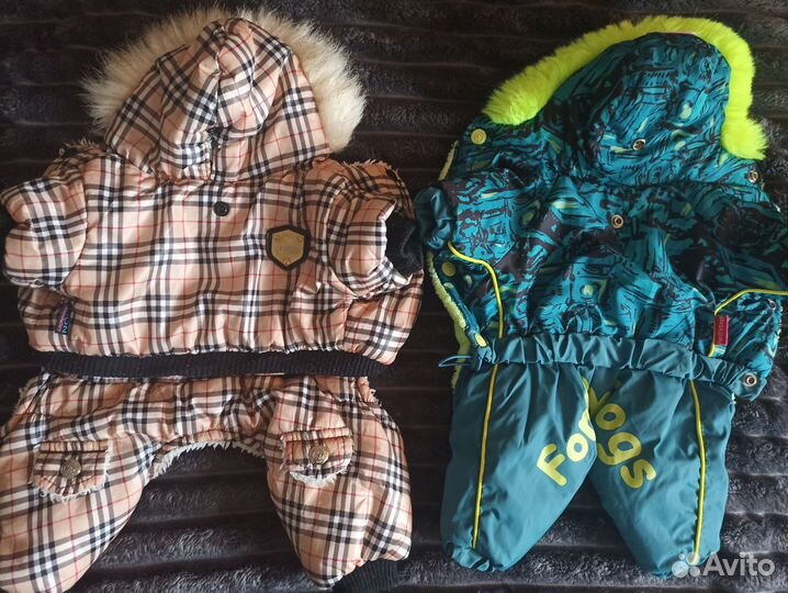 Одежда для маленьких собак