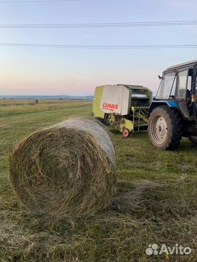 Продам сено в рулонах