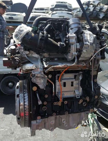 Двигатель Nissan Qashqai 2 (2013 - 2017) 1.6 R9M40