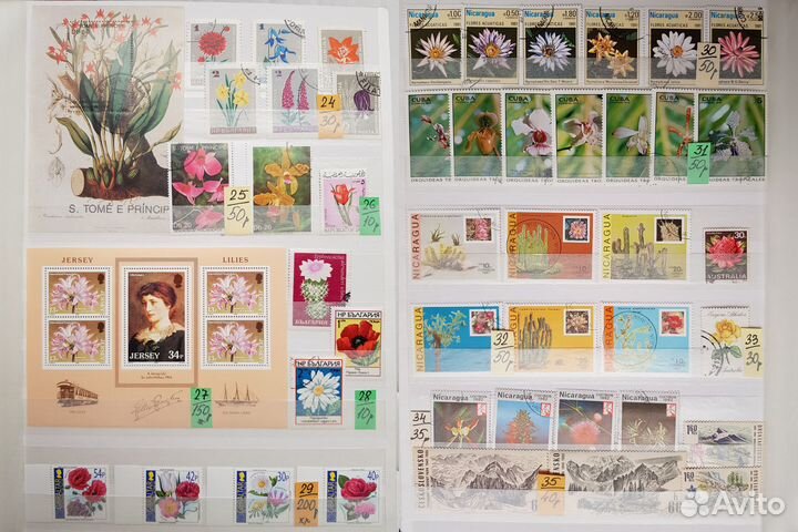 Марки. Флора. Цветы