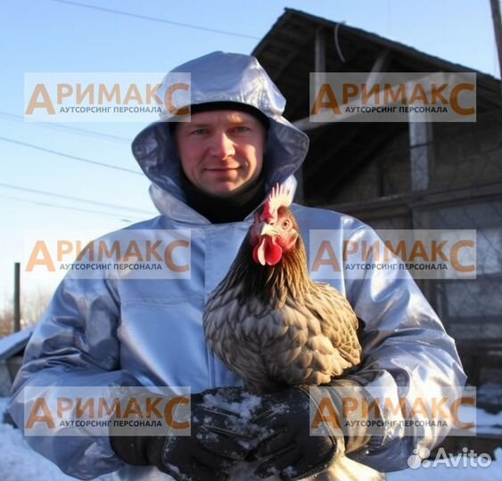 Мойщик клеток на птицефабрику, вахта с проживанием