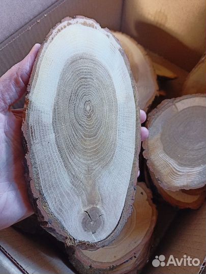 Спилы для панно, рисунка, выжигания