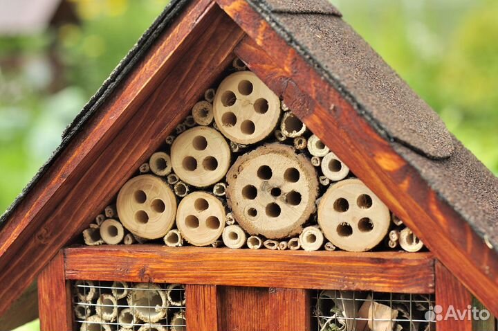 Домики для божьих коровок и др.насекомых