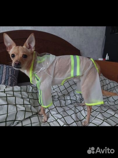 Дождевик для средней собаки