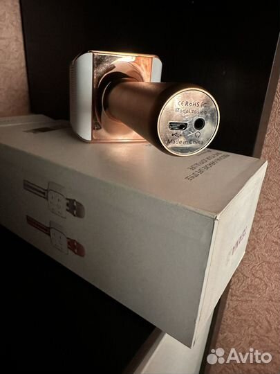 Микрофон колонка teana