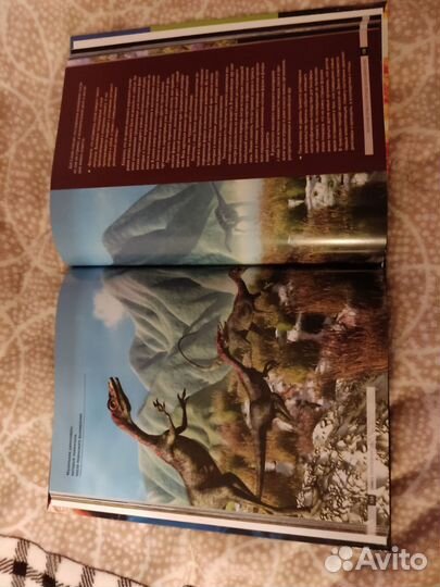 История земли