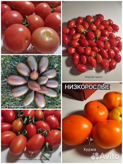 Семена коллекционные томаты и перцы