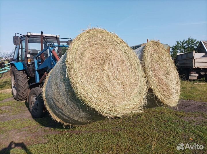 Продам сено в тюках