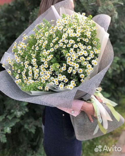 Цветы ромашки. Букеты ромашек. Цветы доставка