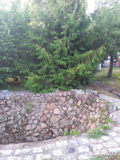 Туризм.Отдых с палатками