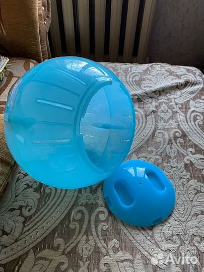 Прогулочный шар для грызунов