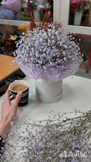Букет гипсофилы цветы раменское